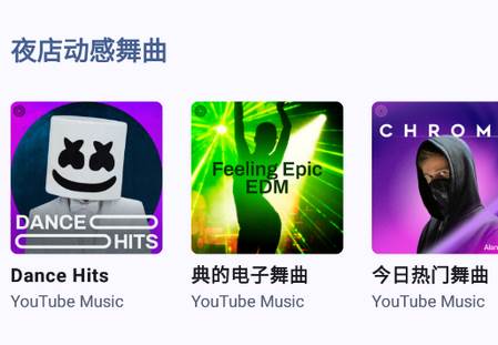 Metrolist音乐软件