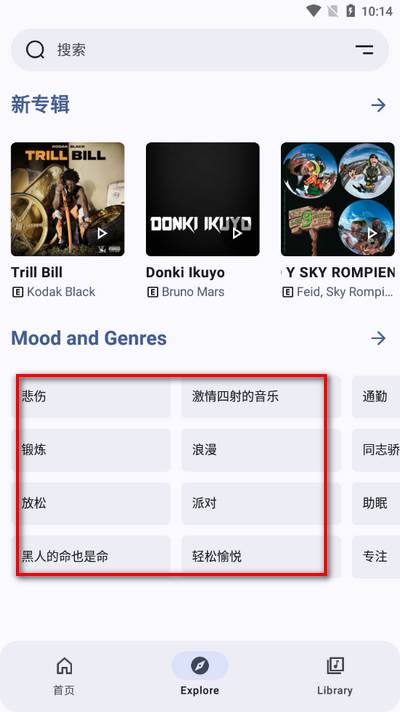 Metrolist音乐软件