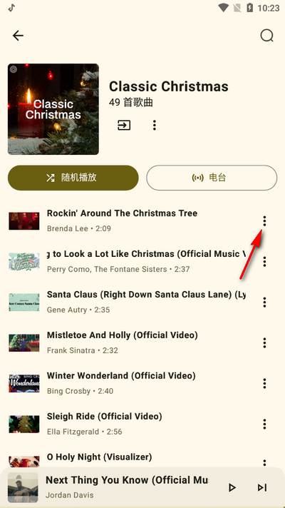 Metrolist音乐软件