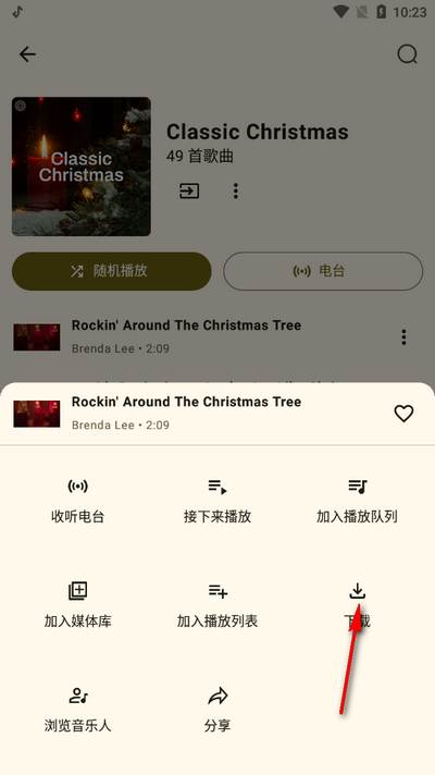 Metrolist音乐软件