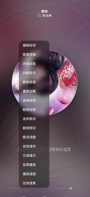 RPlayer本地音乐播放器 RPlayer本地音乐播放器