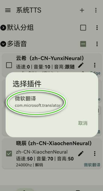 微软语音引擎(TTS Server) 微软语音引擎(TTS Server)