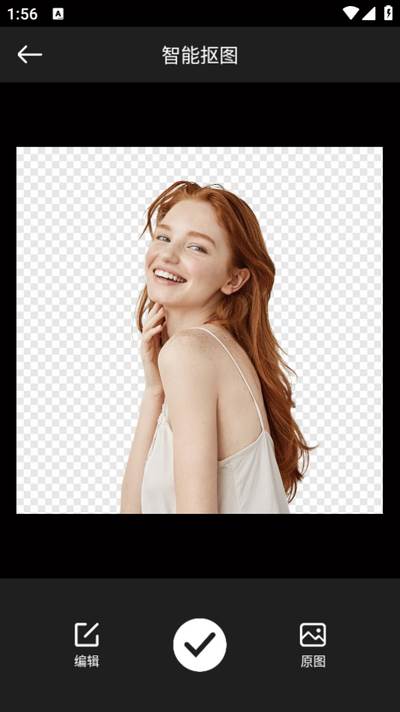 P图全能王高级版