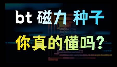 笨搜app下载安装正版