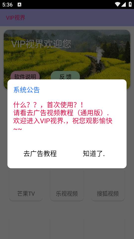 VIP视界修复版