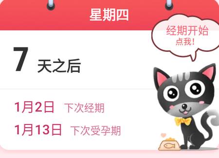 小月历专业版pro免费版