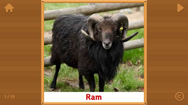 动物单词卡片(Flashcards for Kids) 动物单词卡片(Flashcards for Kids)