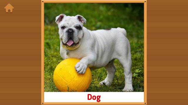 动物单词卡片(Flashcards for Kids) 动物单词卡片(Flashcards for Kids)