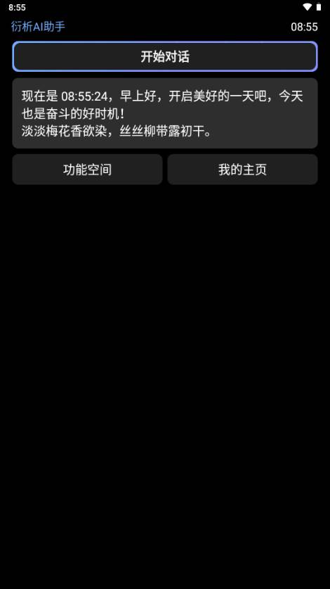 衍析AI手表版 衍析AI手表版