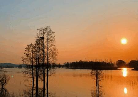 溧阳论坛手机版