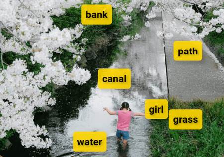 图片语言学习软件(KaChiKa)