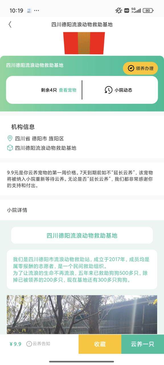 握爪app