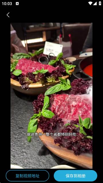 短视频一键搬运app高级版