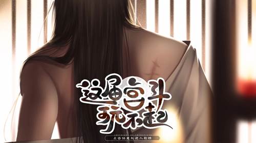 这届宫斗玩不起图片