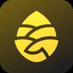 松果出行客户端