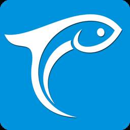 凤台小鱼网新闻软件