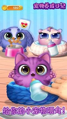宠物养成日记宣传图