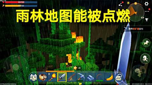 找雨林地图方法配图3