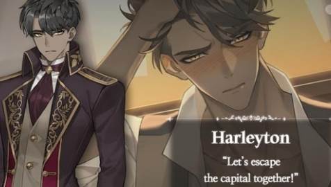 恋爱费洛蒙宣传图