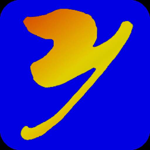 掌上永康app官方版