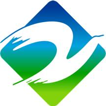 新镇原app安卓版