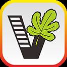 我要自学网官方手机版