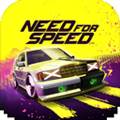 NFS无限制 NFS No Limits