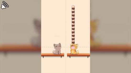 DuetCats破解版免广告图片3