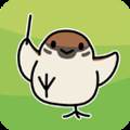 鸟之音无限羽毛版