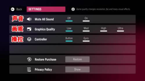 拉力地平线国际服怎么设置图片2