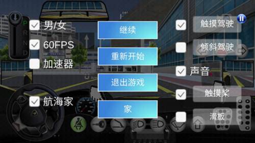 3D驾驶课破解版14