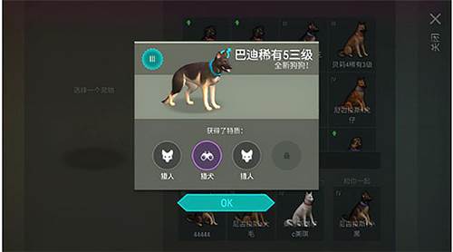 世界末日生存无限购买版怎么带狗4