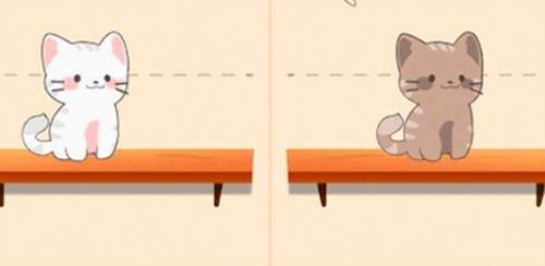 Duet Cats游戏优势