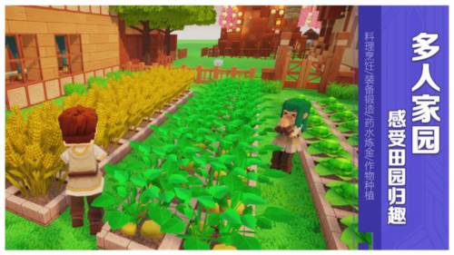 龙与家园时光15