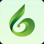 碳达峰ll期app手机版