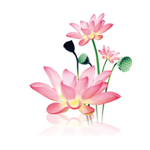 水墨工具箱app安卓手机版