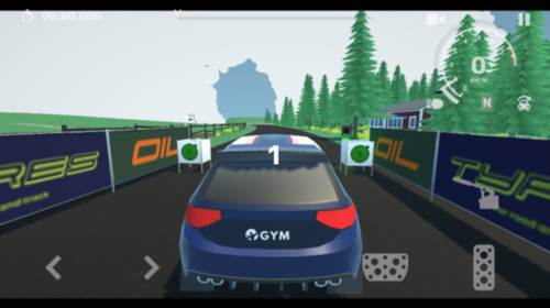 N3拉力赛最新版图片7