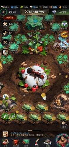 小小蚁国腾讯版宣传图