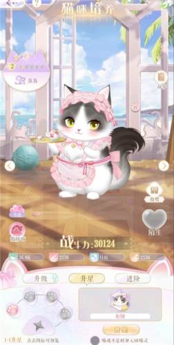 猫咪养成玩法配图1