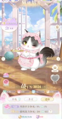 猫咪养成玩法配图2