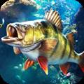 欢乐钓鱼大师内置秒杀菜单版