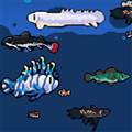 模拟水族馆1