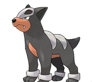 口袋觉醒QQ渠道服开局好用的小精灵推荐7