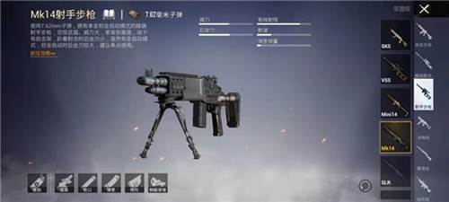 PUBG手游测试服14