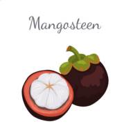 山竹社区app安卓版