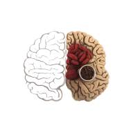 快背中医APP最新版