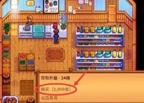 怎么扩充背包配图3