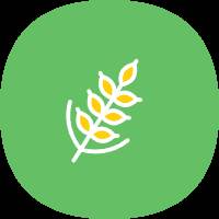 麦子下载app最新版