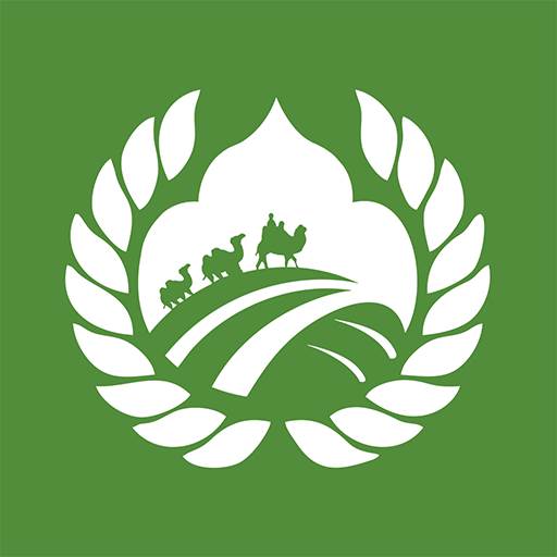 同疆共创电商平台