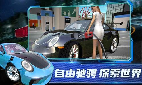 保时捷911模拟器图片1